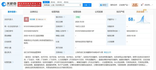 高德在上海成立銷(xiāo)服科技公司，注冊(cè)資本100萬(wàn)，聚焦信息技術(shù)咨詢(xún)服務(wù)