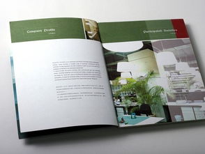 廣州專業(yè)畫(huà)冊(cè)設(shè)計(jì)與軟件開(kāi)發(fā) 品牌建設(shè)的雙翼